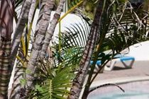 Abc Apartments Sint Michiel エクステリア 写真