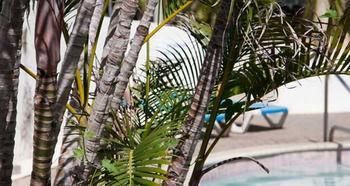 Abc Apartments Sint Michiel エクステリア 写真